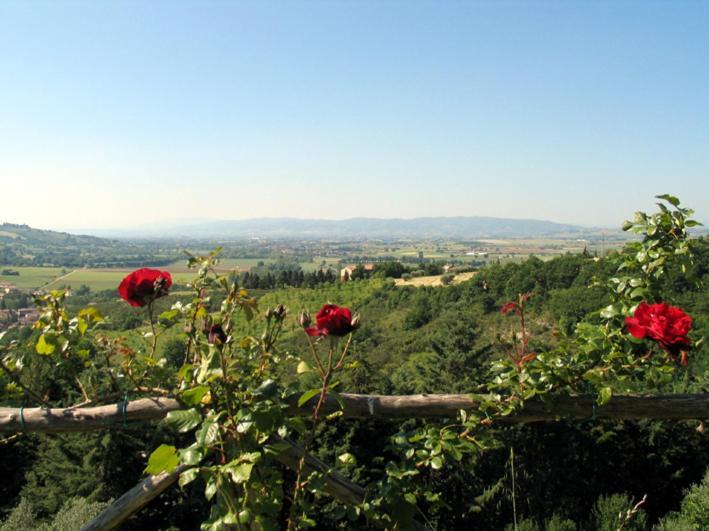 Affittacamere Castel D'Arno Perugia Esterno foto