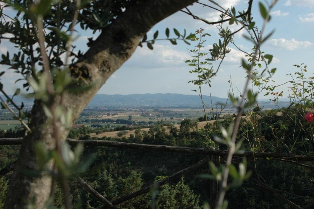 Affittacamere Castel D'Arno Perugia Esterno foto